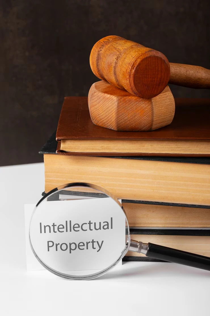Intellectual Property Audits