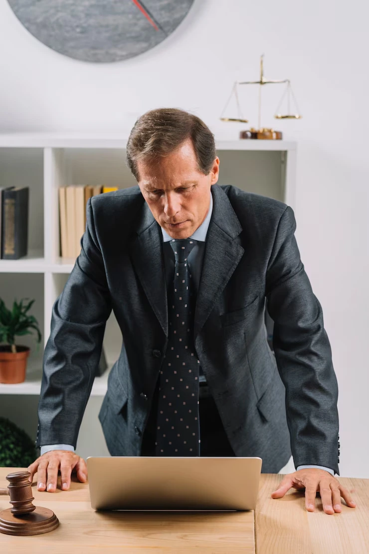 Expert Litigation Lawyer Services
