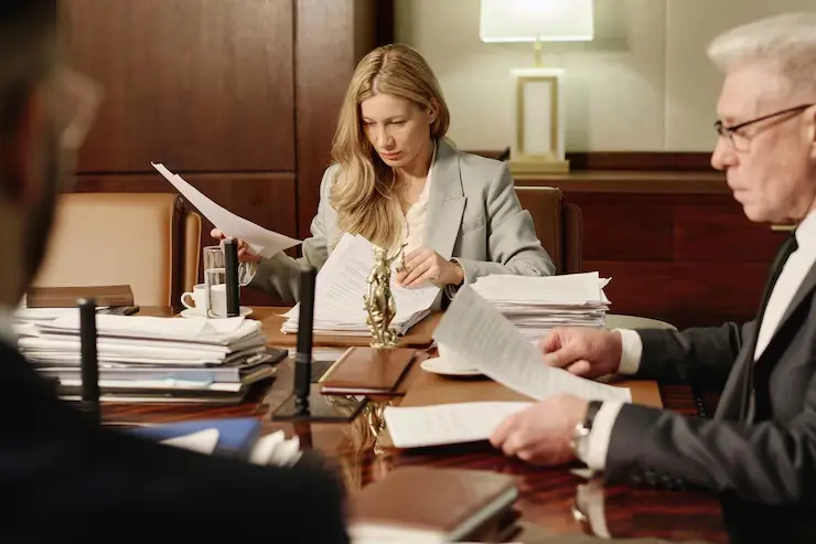 Expert Litigation Lawyer